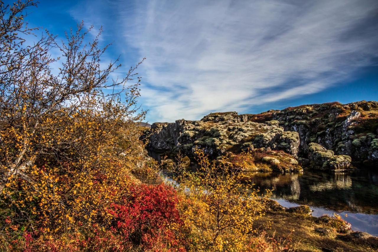 Lake Thingvellir Cottages Blaskogabyggd Extérieur photo